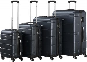 Zelsius Luggage Set